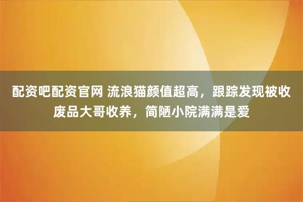 配资吧配资官网 流浪猫颜值超高，跟踪发现被收废品大哥收养，简陋小院满满是爱